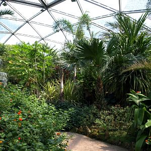 Papiliorama - Papiliorama Hall