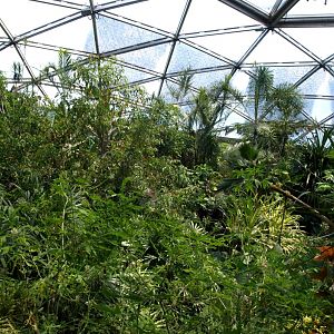 Papiliorama - Papiliorama Hall