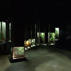 Papiliorama - Arthropodarium