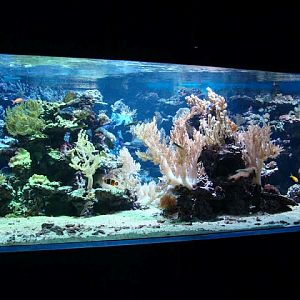 Sea aquarium