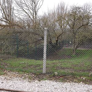 Future paddock at Blackpool Zoo 11/03/12