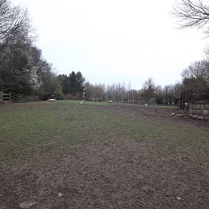 Reindeer paddock at Blackpool Zoo 11/03/12