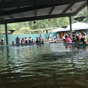 5/22/2011 stingray bay structure