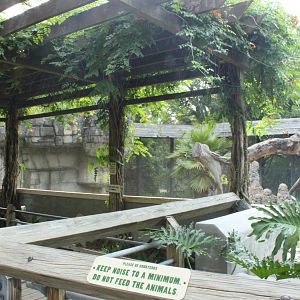 5/22/2011 viewing shade structure overlooking chimpanzee