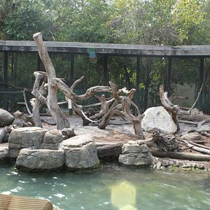 5/22/2011 Mandrill enclosure