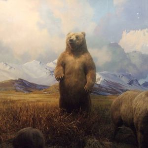 American Museum of Natural History