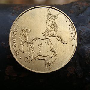 Coin  from the zoo