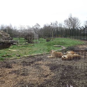Pride of Blackpool at Blackpool Zoo 11/03/12