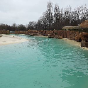 Sea Lion exhibit at Blackpool Zoo 11/03/12