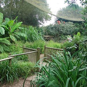 South-american walkthrough aviary