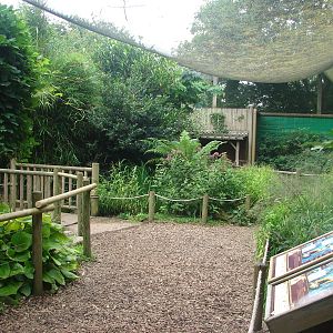 South-american walkthrough aviary