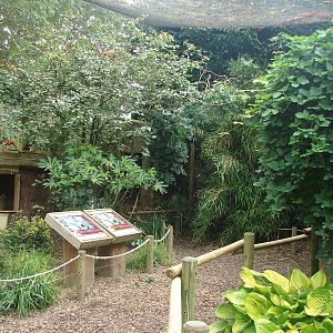 South-american walkthrough aviary