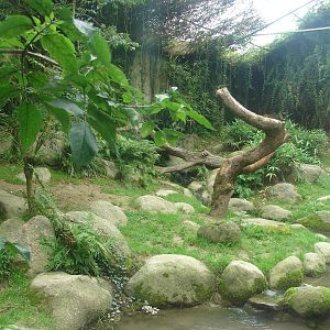 Persian leopard exhibit