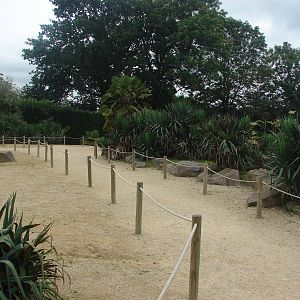 Lemur walkthrough exhibit