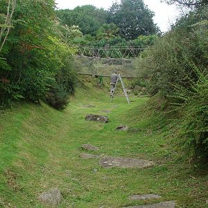 Lemur walkthrough exhibit