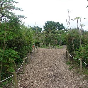 Lemur walkthrough exhibit