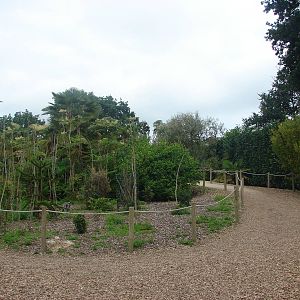 Lemur walkthrough exhibit