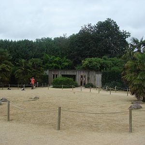 Lemur walkthrough exhibit