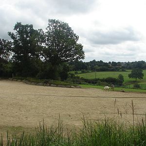 African savanna exhibit