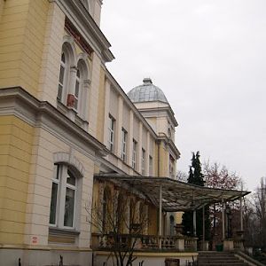 Building of the terrarium