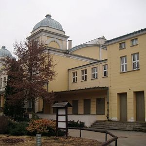 Building of the terrarium