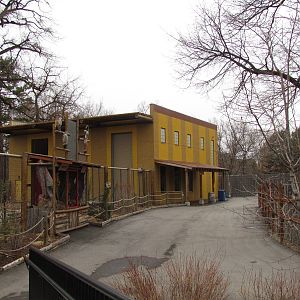 African Plains - Reticulated Giraffe Exhibit