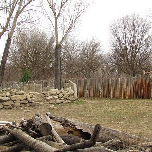 African Plains - Reticulated Giraffe Exhibit