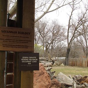 African Plains - Reticulated Giraffe Exhibit