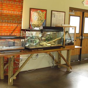 African Plains - School House