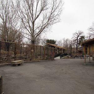 African Plains - Reticulated Giraffe Exhibit