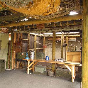 African Plains - Ranger Station and Aviary