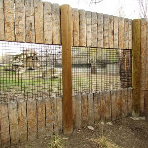 African Plains - Striped Hyena Exhibit