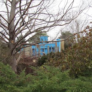 Sloth Bear Exhibit Construction