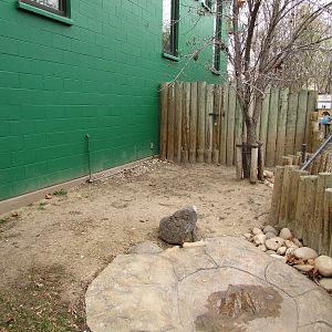 Small Animal Kingdom - Aldabra Tortoise Exhibit