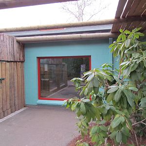 Small Animal Kingdom - Indoor Komodo Dragon Viewing
