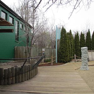 Small Animal Kingdom - Looking Back Towards Entrance