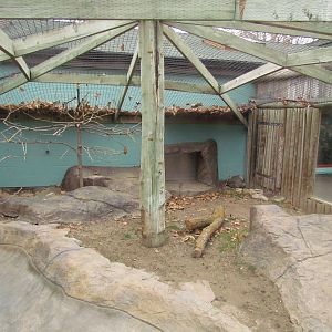 Small Animal Kingdom - Komodo Dragon Outdoor Exhibit