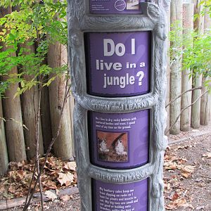 Small Animal Kingdom - Ring-tailed Lemur Signage