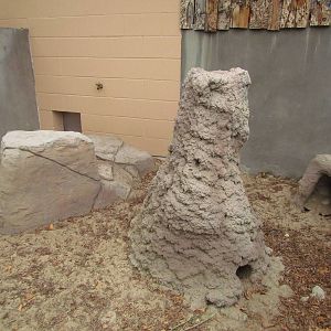 Small Animal Kingdom - Outdoor Meerkat Exhibit