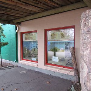 Small Animal Kingdom - Indoor Exhibit Viewing