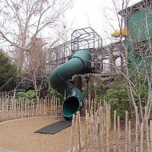 Small Animal Kingdom - Rainforest Play Area