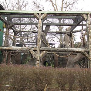 Small Animal Kingdom - Spider Monkey Outdoor Exhibit
