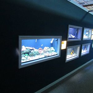 Aquariums