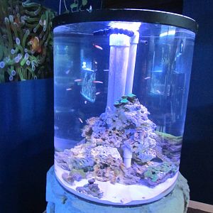 Fish Tank