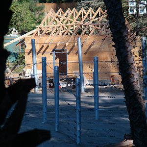 Pachyderm Forest at the Los Angeles Zoo
