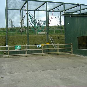 Gibbon exhibit Noahs Ark