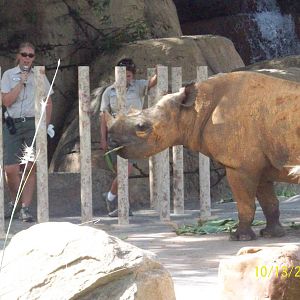 Busch Gardens Africa (Tampa Bay) October 2008