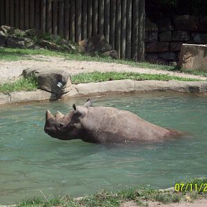 Cleveland Metroparks Zoo