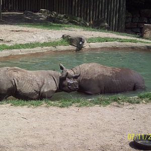 Cleveland Metroparks Zoo