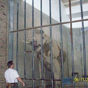 Cleveland Metroparks Zoo